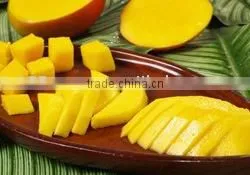Sindhri Mango thumbnail-1