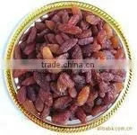 Hight Quality .Competitive Price -Sultana Raisin thumbnail-1