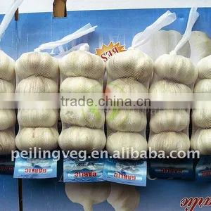 5cm Pure White Garlic (chinese) thumbnail-1