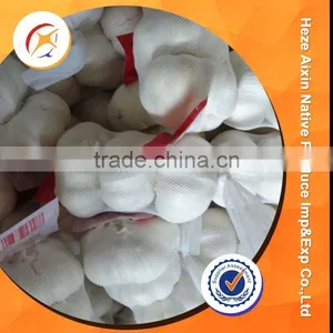 Fresh Garlic With Competitive Price thumbnail-4