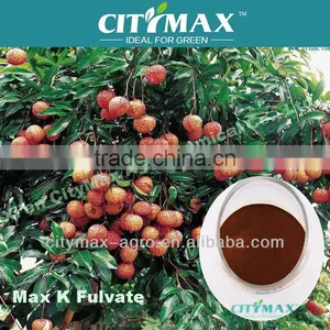 High Solubility Fulvic Fertilizer Granulation Plant thumbnail-1