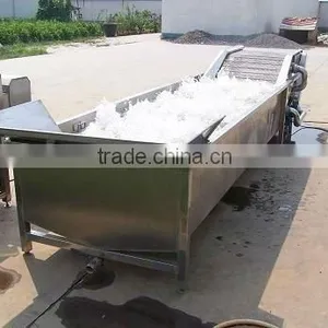 WANDA Hot Seller Fruit Washing Machine thumbnail-1