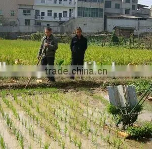 2 Row Rice Transplanter thumbnail-1