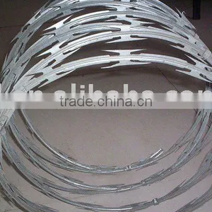 Single Barbed Wire thumbnail-1
