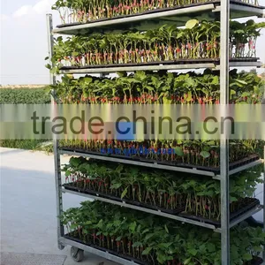 5Danish Flower Trolley Display Cart thumbnail-2
