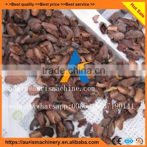 Best Selling Cocoa Bean/cacao Peeling Peeler Machine thumbnail-4