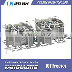 Large Output Blast Chiller Food Made In China thumbnail-6