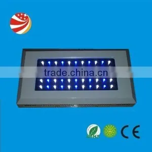LED Aquarium Light With CREE 120 Watt 3 Watt High Intensity LED's thumbnail-1
