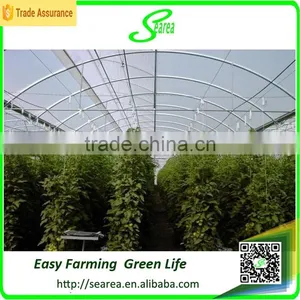 Low Cost Greenhouses Used Greenhouse thumbnail-5