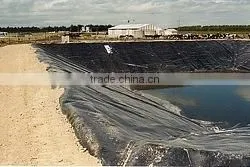 LDPE Building Film thumbnail-5