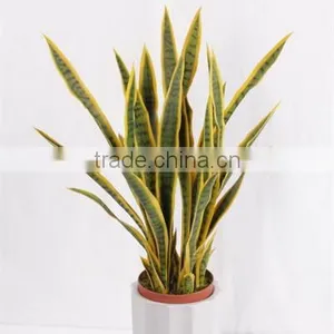 Factory Wholesale Fake Sanseviera Plant/agave Bonsai Plant Tree thumbnail-4