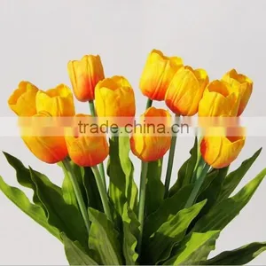 PU Dutch Tulip thumbnail-1