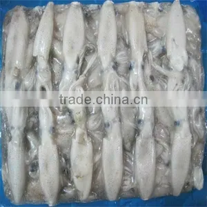 Seafood and Whole Frozen Squid thumbnail-1