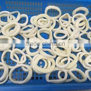 IQF Pacific Squid Rings (Todarodes Pacificus) thumbnail-1
