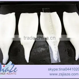 Frozen Seafood Frozen Squid Tube thumbnail-2