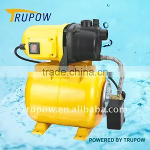 Top Sell Electric Automatic Water Pumps Domestic thumbnail-1