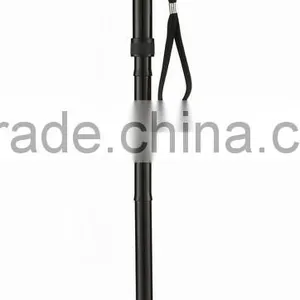 Walking Cane thumbnail-1