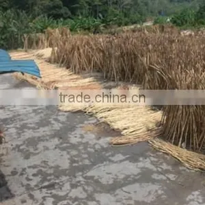Raw Rattan Cane Mix thumbnail-2