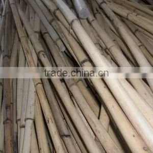 Raw White Malacca Cane thumbnail-1