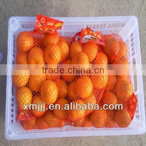 Honey Baby Orange on Sale thumbnail-3