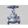 API Globe Valve thumbnail-1