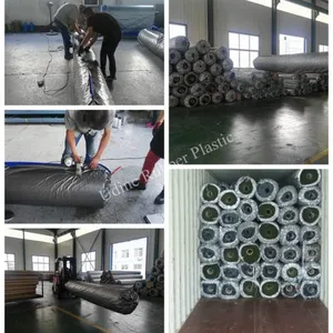 Qingdao Udine Rubber Plastic Co.,Ltd company overview - view 2 thumbnail