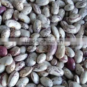 Amercian Light Speckled Kidney Beans thumbnail-1