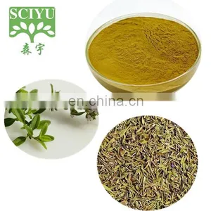 High Quality Thyme Leaf Extract Powder Thymus Vulgaris Extract 10:1 thumbnail-1