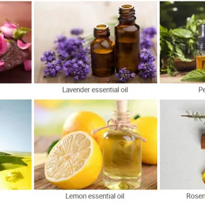 Factory Genyond Pine Needles Essential Oil Distiller Distillation Equipment Extractor Extracting Machine thumbnail-4