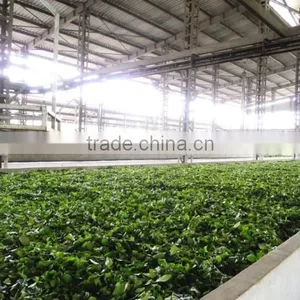 Orient Vietnam Company Limited company overview - view 2 thumbnail