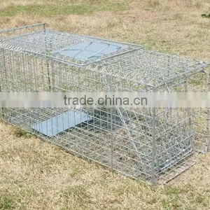 Cat Trap thumbnail-1