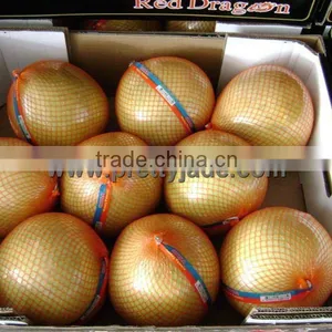 Fresh Honey Pomelo thumbnail-1