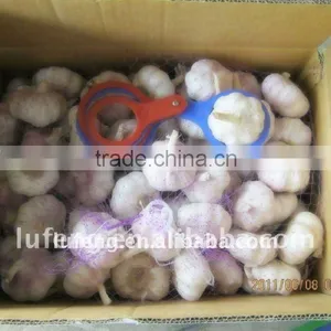 Fresh Normal White Garlic thumbnail-1