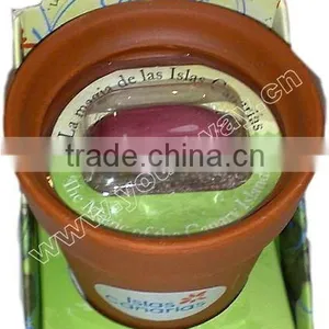 Figurine Pot Magic Bean,lover Mini Plant,jack Bean thumbnail-1