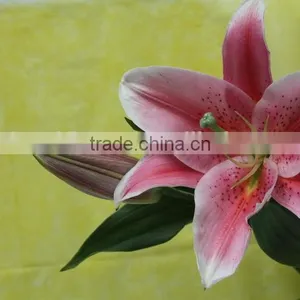 Most Popular Best Selling Lilies Real Touch thumbnail-2