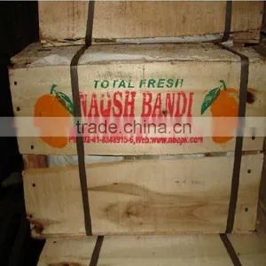 Sindhri Mango Green, Firm & Fresh, From Pakistan thumbnail-1