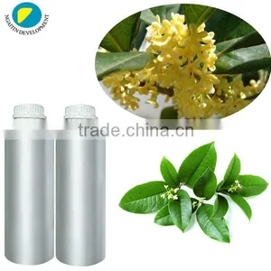100%Pure and Natural BAY LEAF Oil thumbnail-1