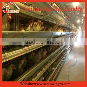 Stable Steel Structure Professional Chicken Egg Layer Cage Egg Layer House Design thumbnail-3