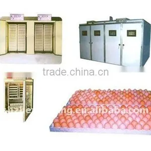 Poultry Equipment thumbnail-1