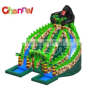 Hot Selling Channal Crazy Inflatable Slide Commercial Inflatables Slide for Sale Supplier's Choice thumbnail-2