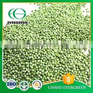 Wholesale Chinese Freeze Dried Green Pea thumbnail-2