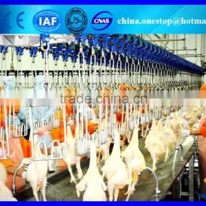 Poultry Slaughtering Equipment in Slaughtering Equipment/Poultry Slaughter thumbnail-3
