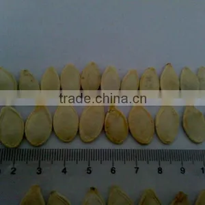 Roasted Cashew Nut and Salty Shine Skin Pumpkin Seeds thumbnail-3