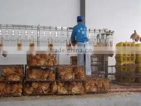 500 Chicken Slaughter Line Slaughterhouse/poultry Abattoir thumbnail-1