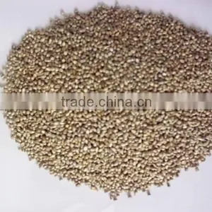 MILLET (BAJRA) thumbnail-1