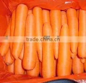 Carrot Harvester thumbnail-1