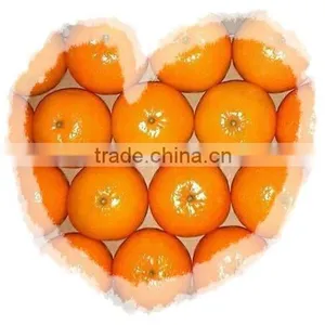 Kinnow (Mandarin) thumbnail-1