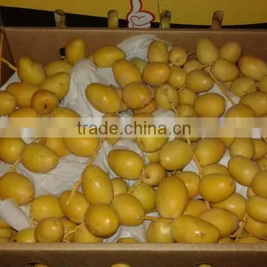 Fresh Dates for Sale thumbnail-2