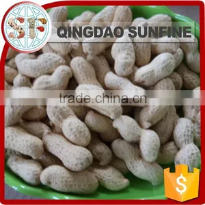 Crispy Organic Roasted Peanuts in Shell thumbnail-5