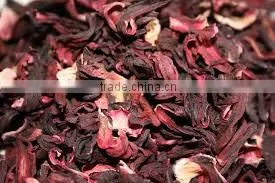 Hibiscus Flowers thumbnail-1